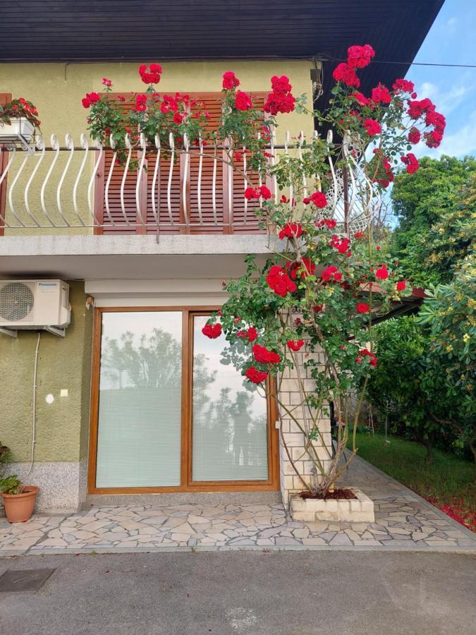 Apartma Niko Пиран Экстерьер фото